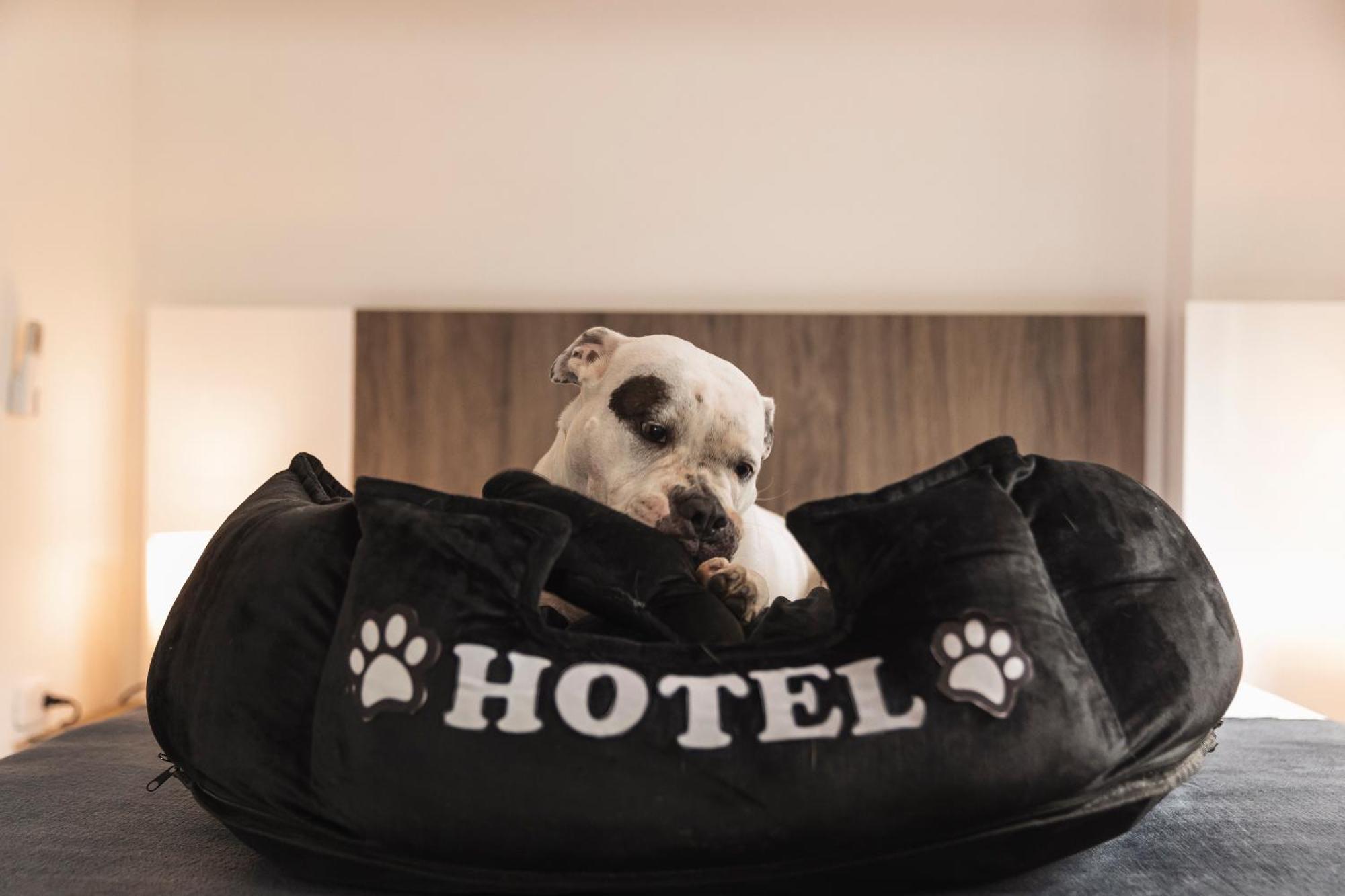 Hotel Boutique Bussines Center Cali Exteriér fotografie